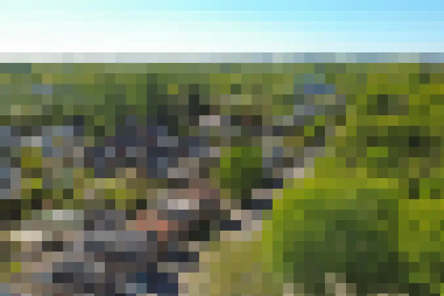 Kievitsweg 101 Ridderkerk thumbnail 42