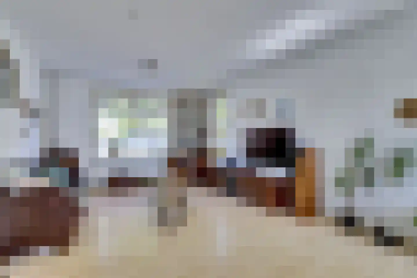 Kievitsweg 101 Ridderkerk thumbnail 8
