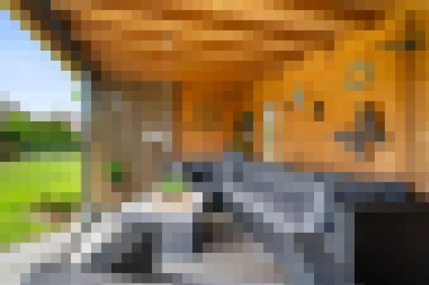 Kievitsweg 11 Wilp thumbnail 40