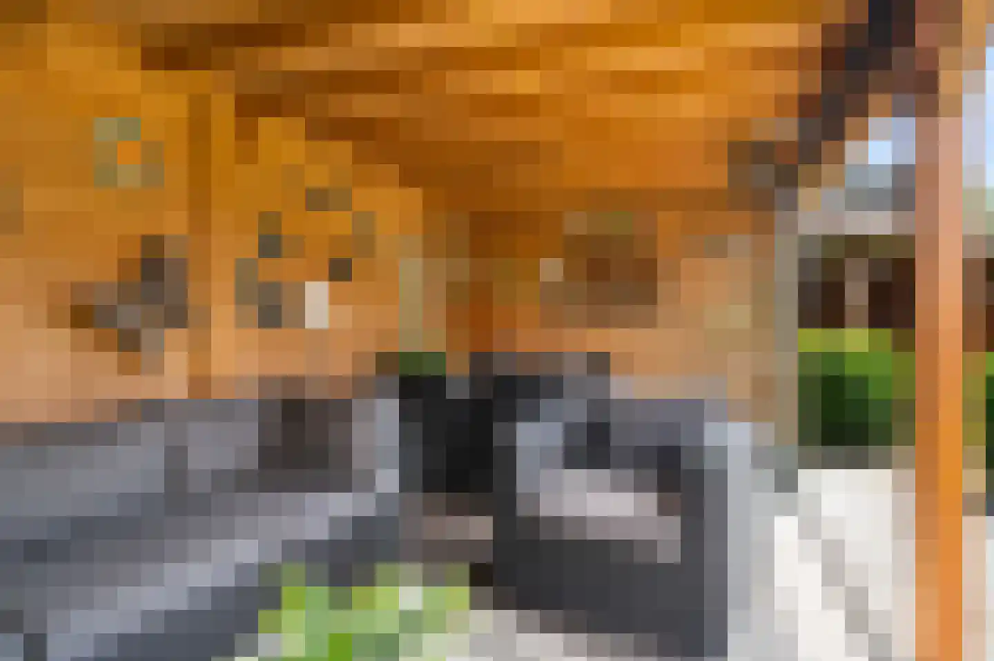 Kievitsweg 11 Wilp thumbnail 41