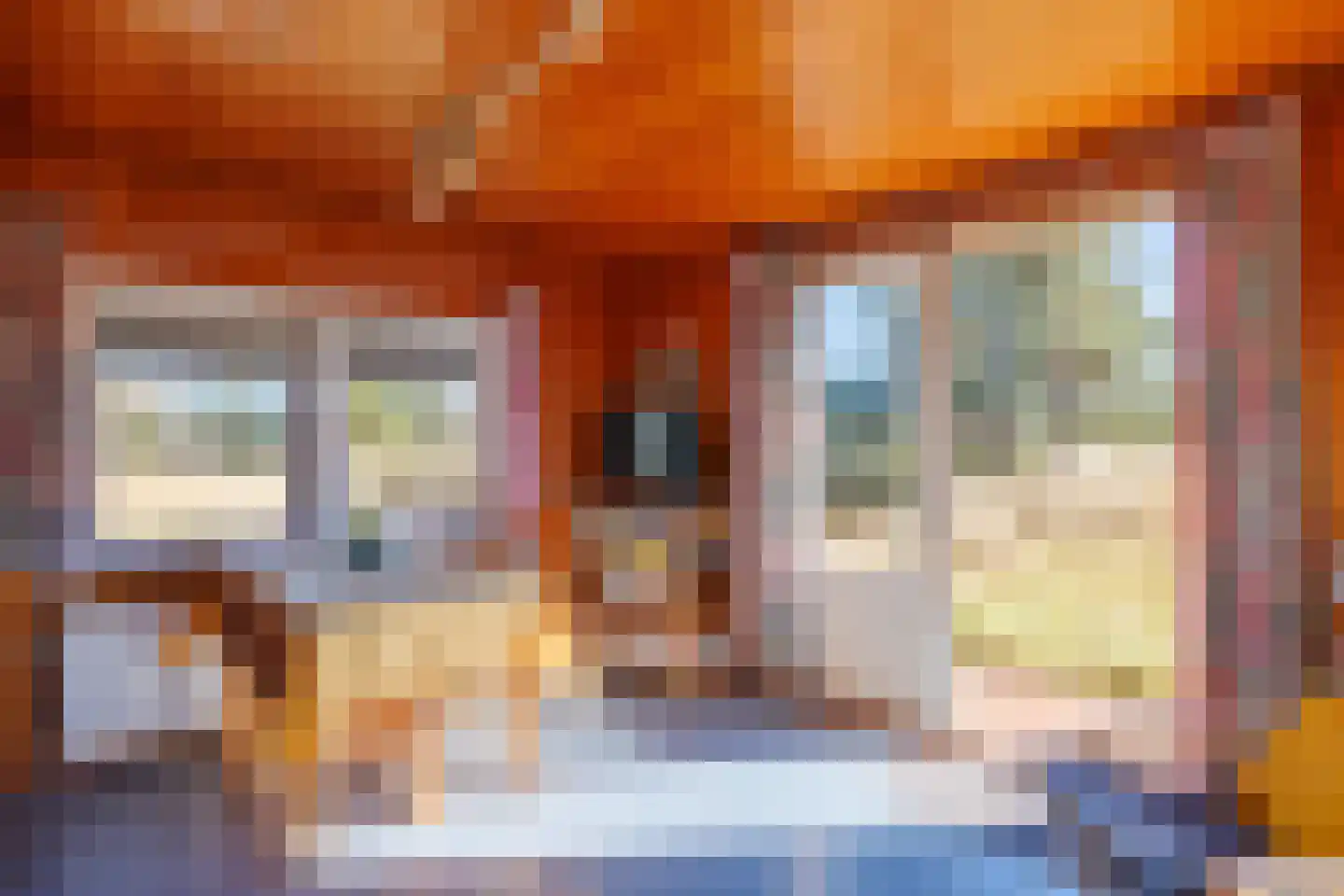 Kievitsweg 14 Nes thumbnail 11