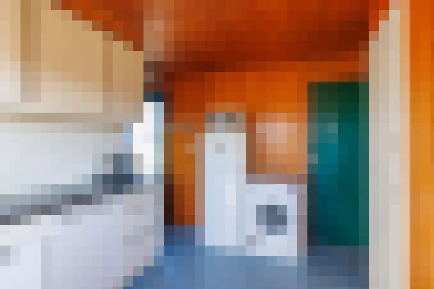 Kievitsweg 14 Nes thumbnail 15