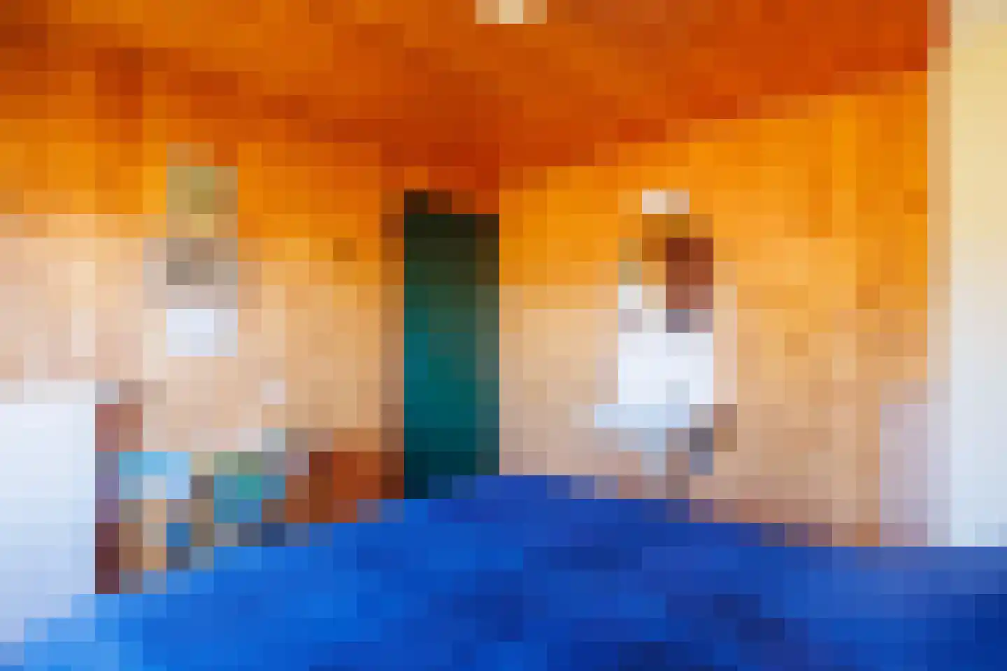 Kievitsweg 14 Nes thumbnail 20