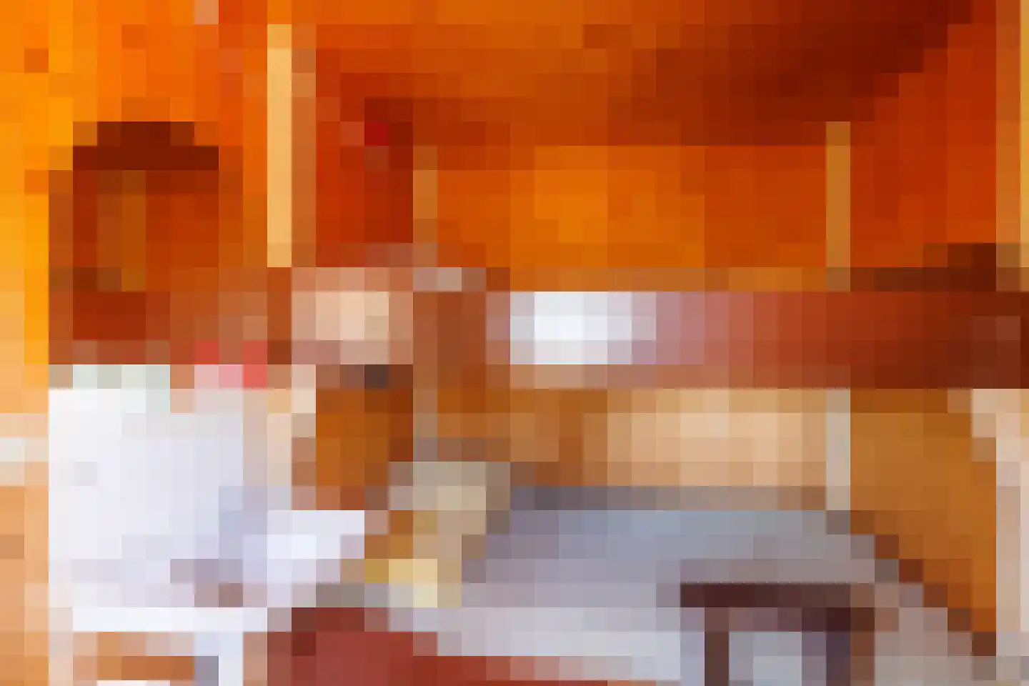 Kievitsweg 14 Nes thumbnail 25
