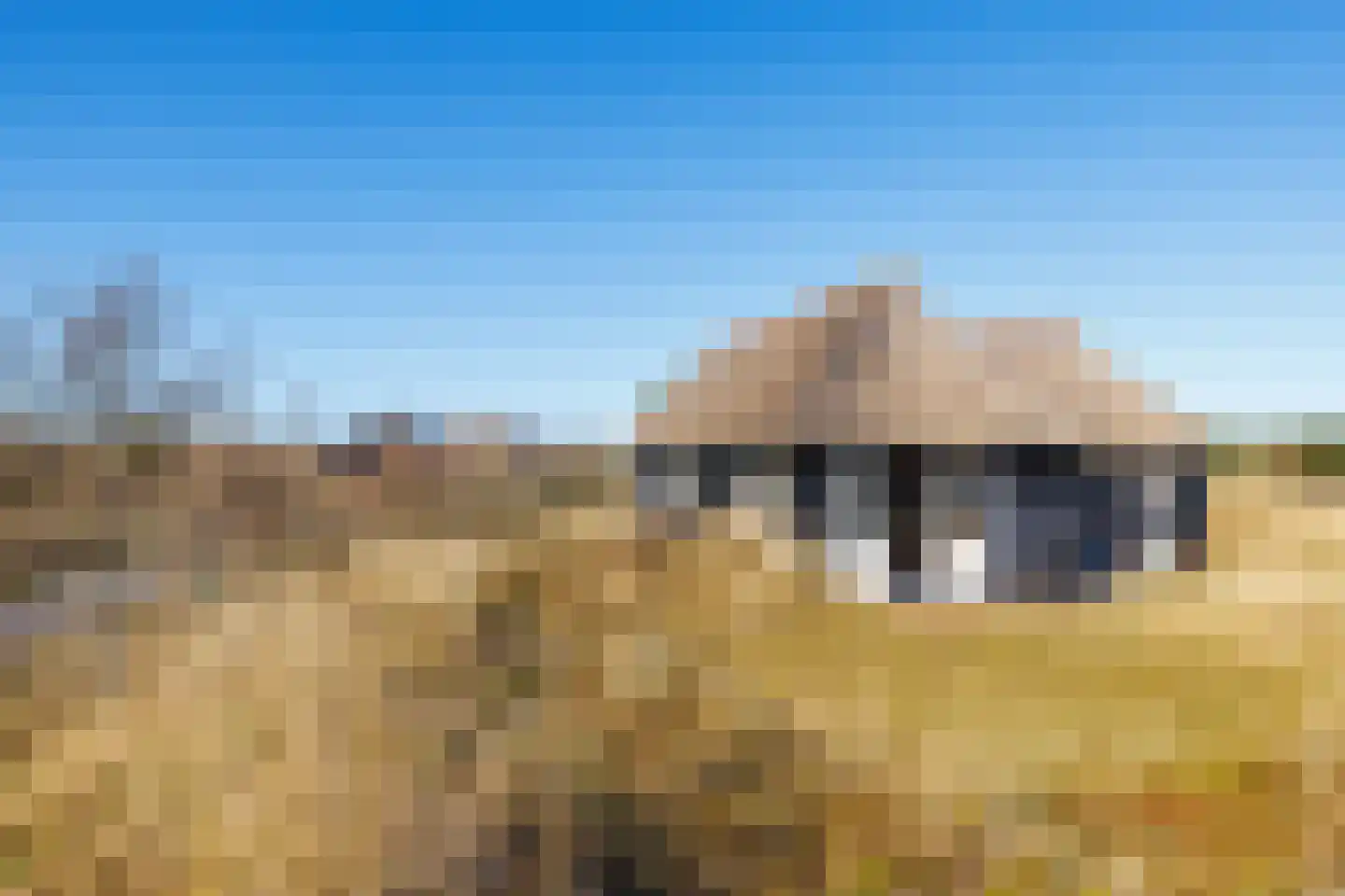 Kievitsweg 14 Nes thumbnail 29
