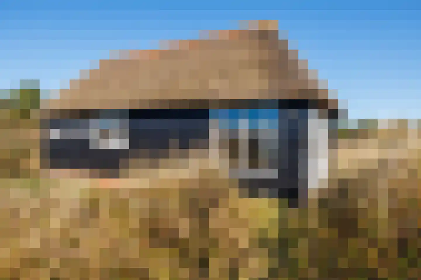 Kievitsweg 14 Nes thumbnail 38