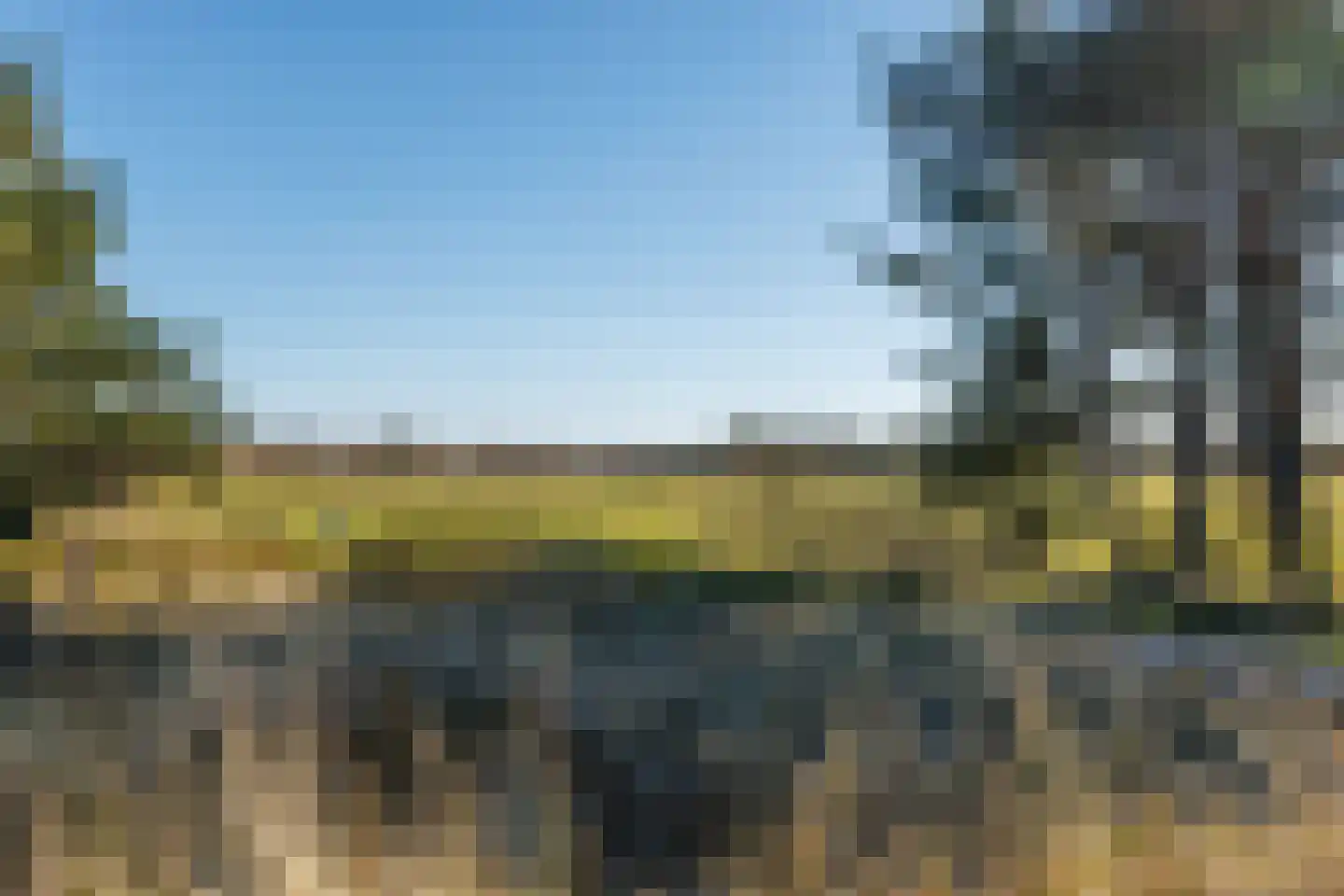 Kievitsweg 14 Nes thumbnail 42