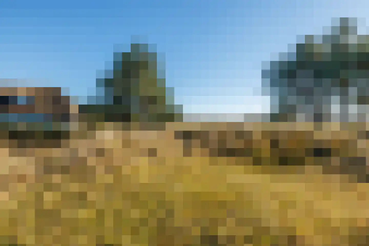 Kievitsweg 14 Nes thumbnail 45