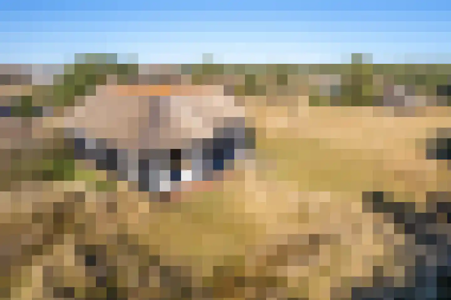 Kievitsweg 14 Nes thumbnail 46