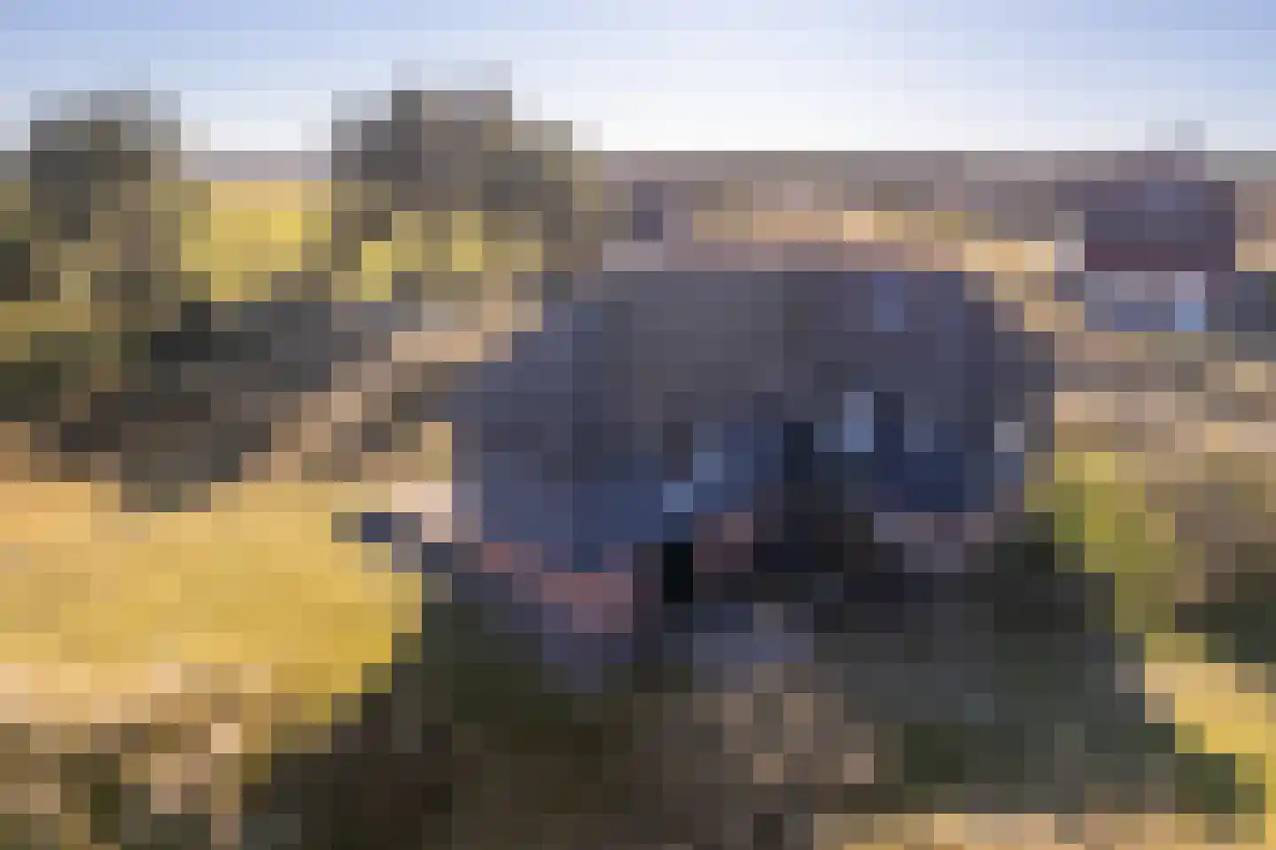 Kievitsweg 14 Nes thumbnail 47