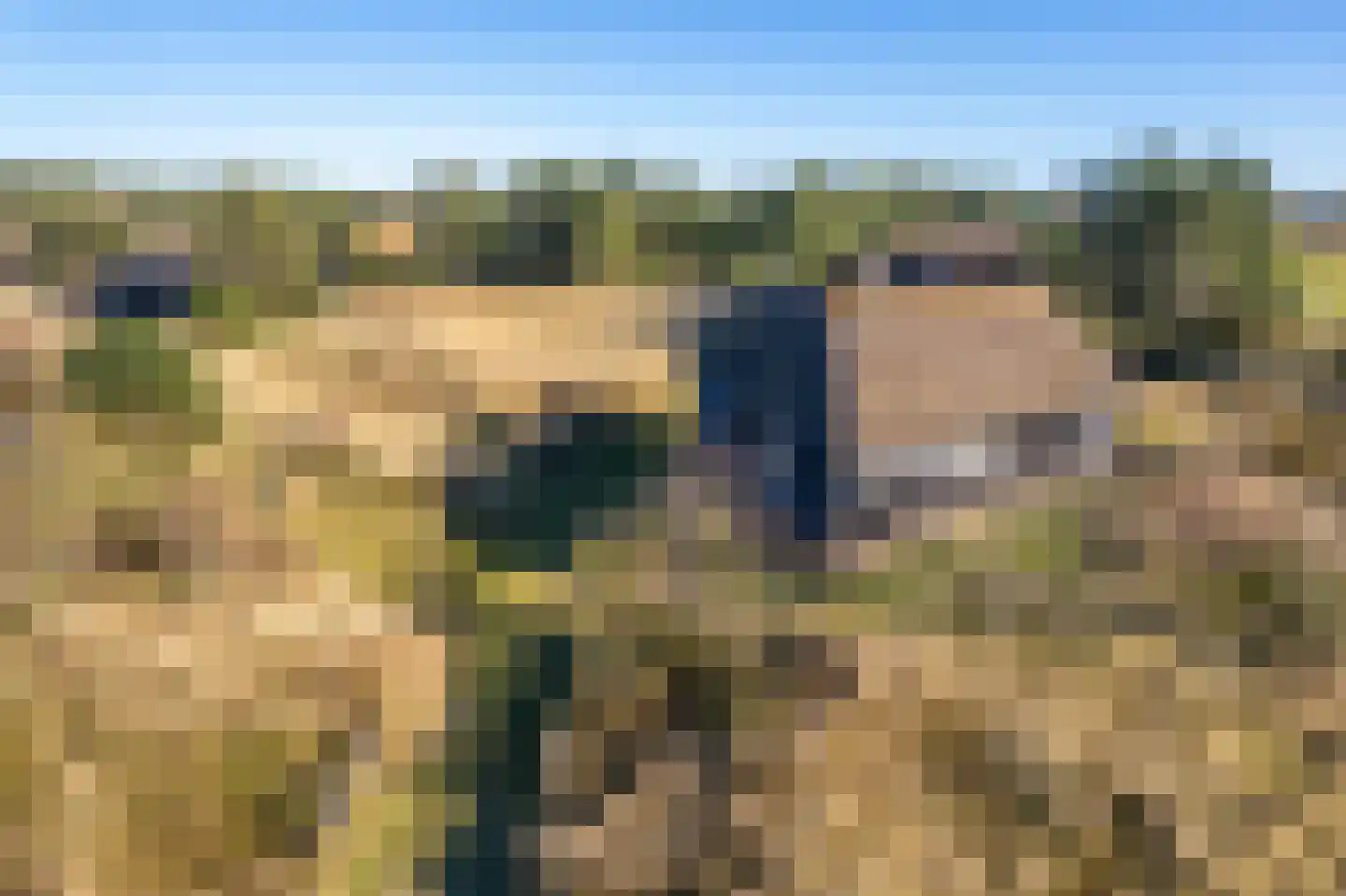 Kievitsweg 14 Nes thumbnail 49