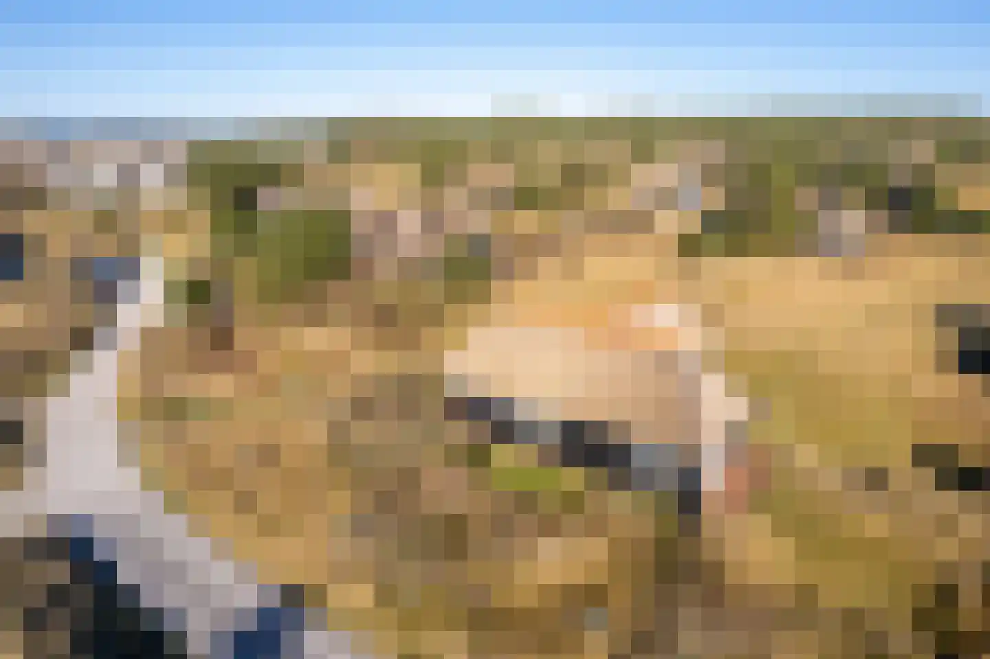 Kievitsweg 14 Nes thumbnail 50