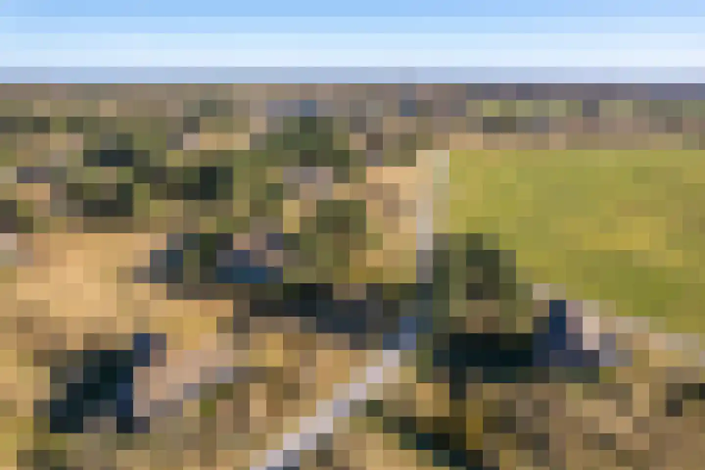 Kievitsweg 14 Nes thumbnail 52