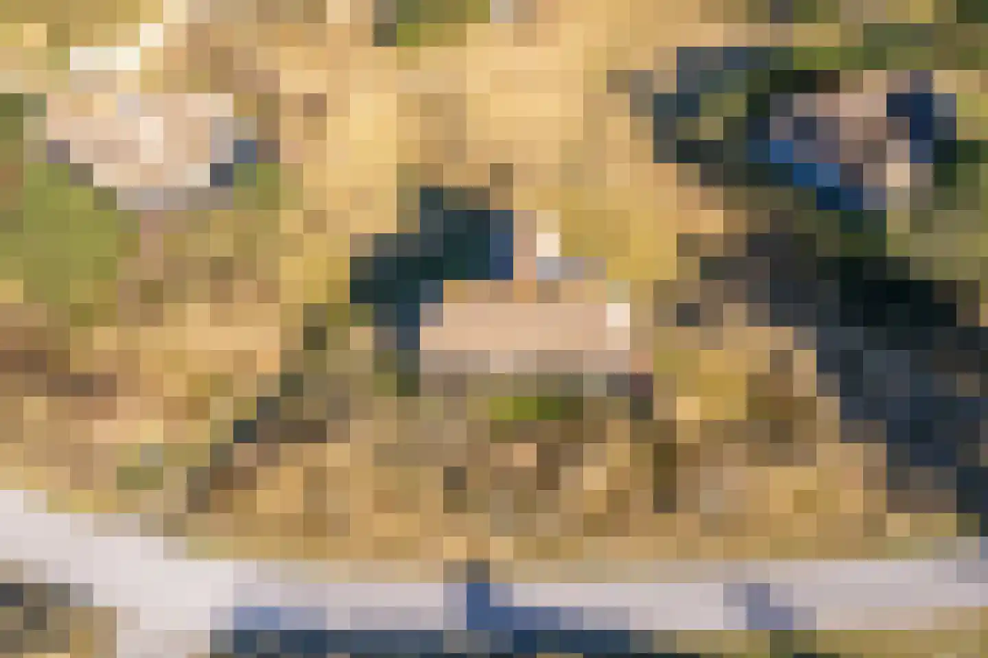 Kievitsweg 14 Nes thumbnail 56