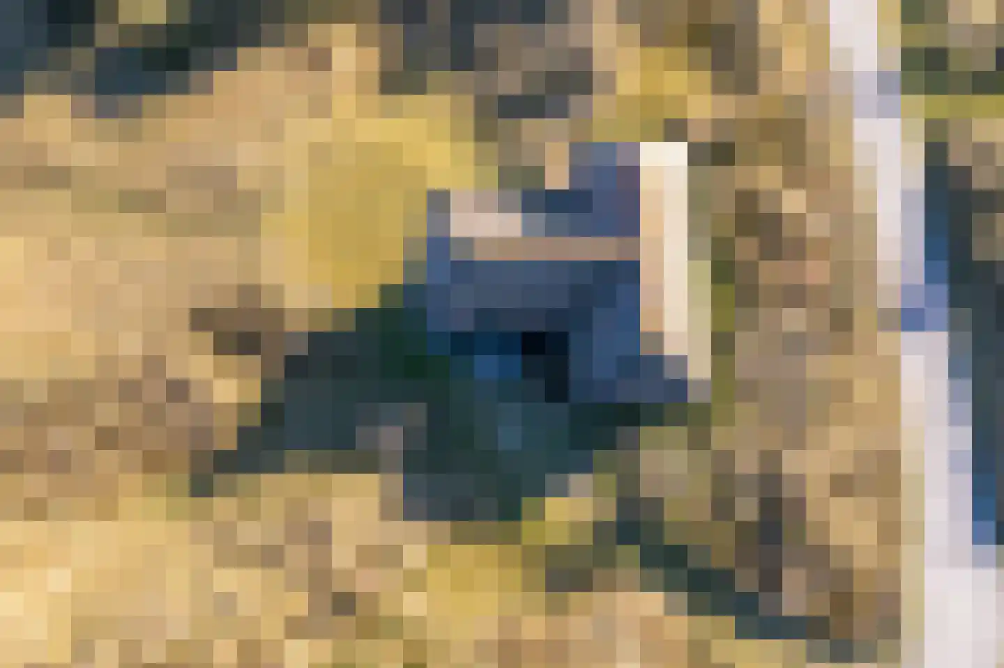 Kievitsweg 14 Nes thumbnail 57