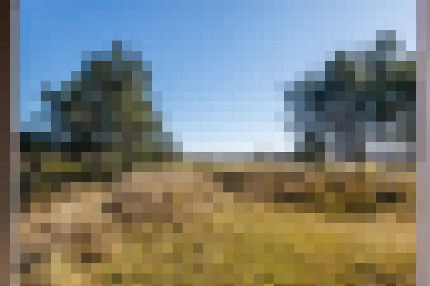 Kievitsweg 14 Nes thumbnail 8