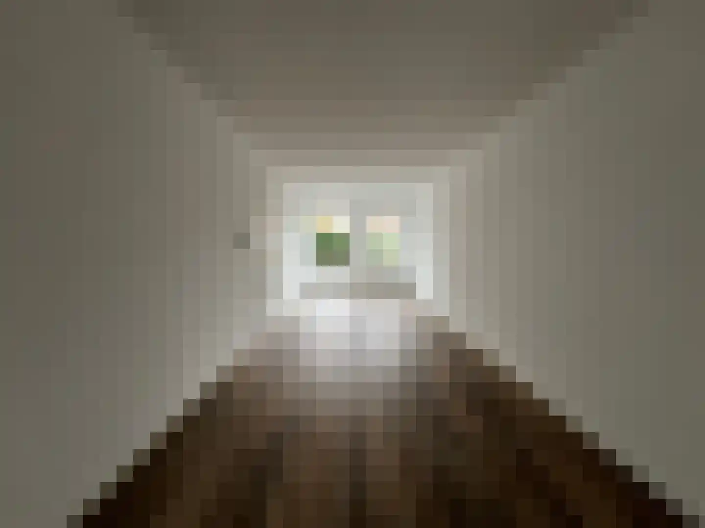 Kievitsweg 2 F Grijpskerk thumbnail 9