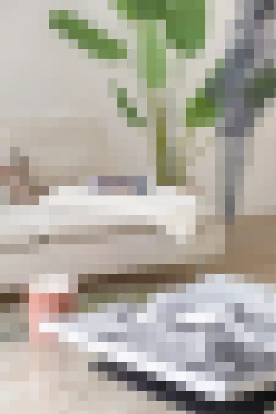 Kievitsweg 2 G Grijpskerk thumbnail 13