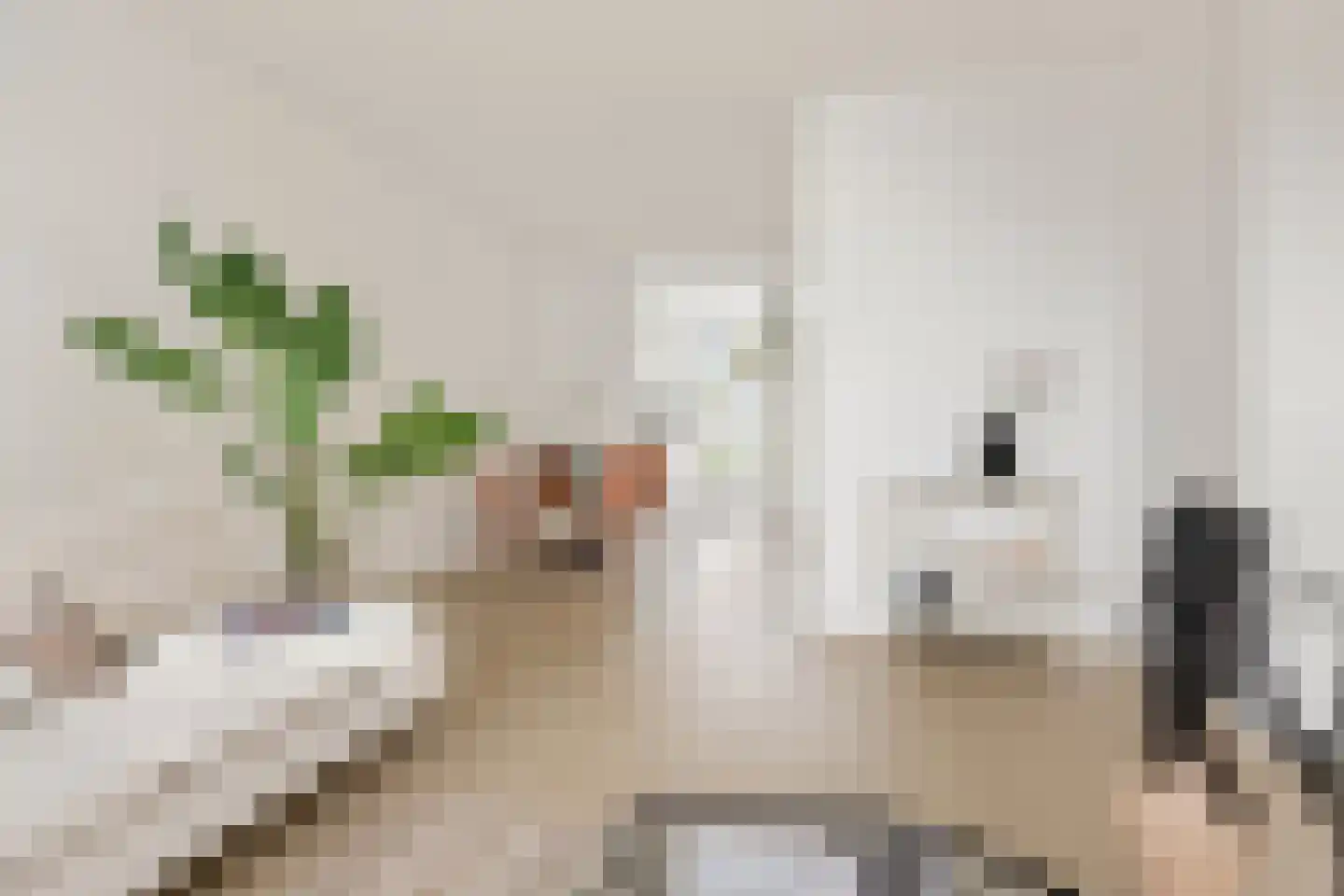 Kievitsweg 2 G Grijpskerk thumbnail 14