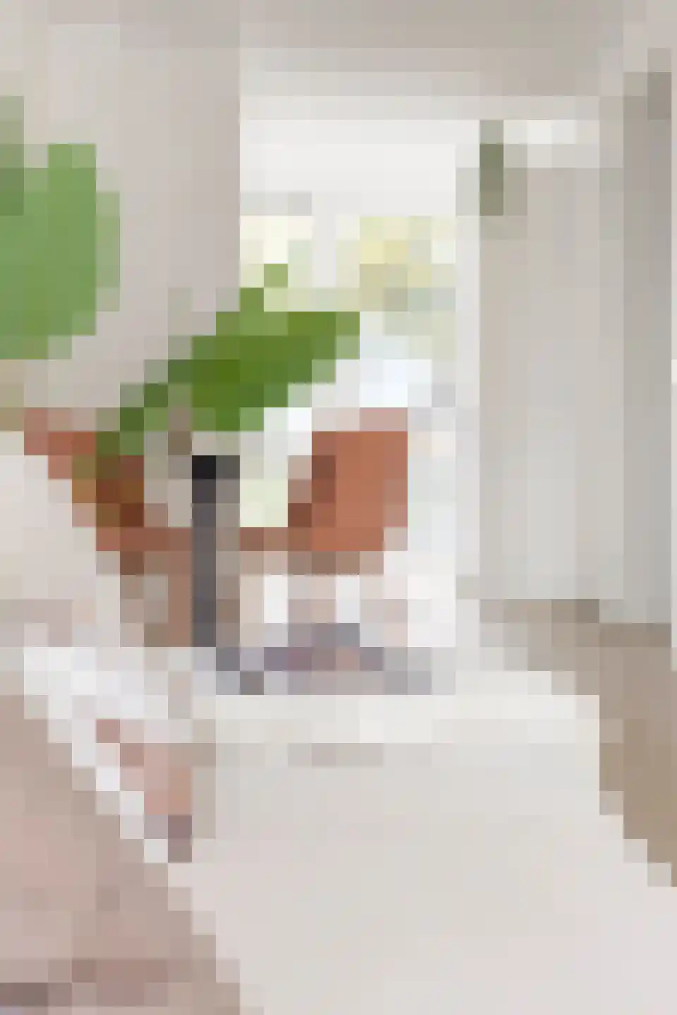Kievitsweg 2 G Grijpskerk thumbnail 15