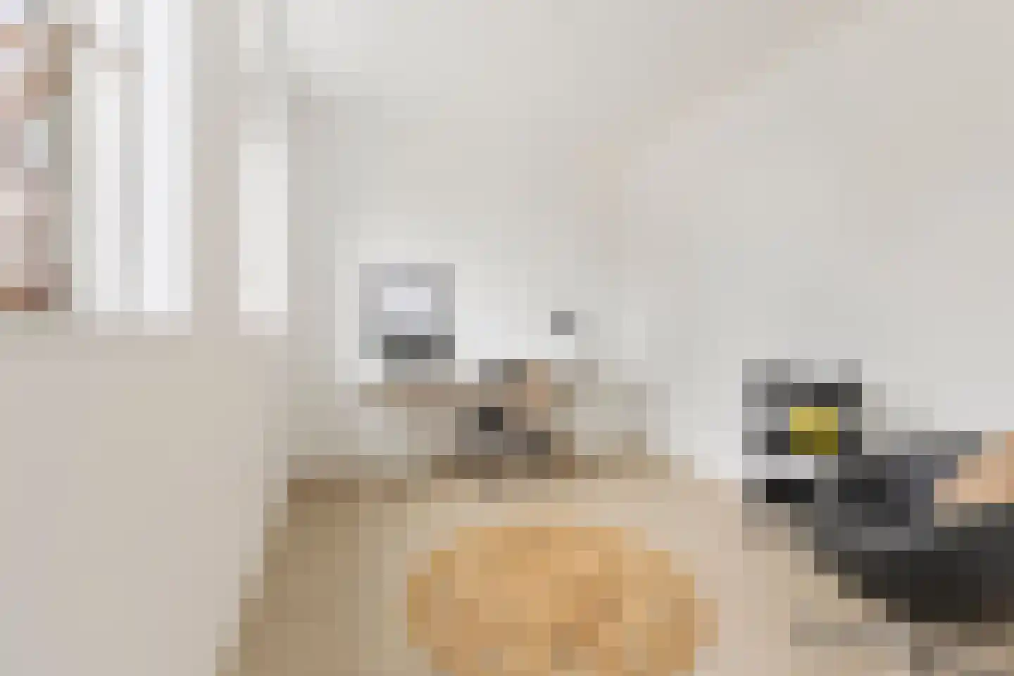 Kievitsweg 2 G Grijpskerk thumbnail 19