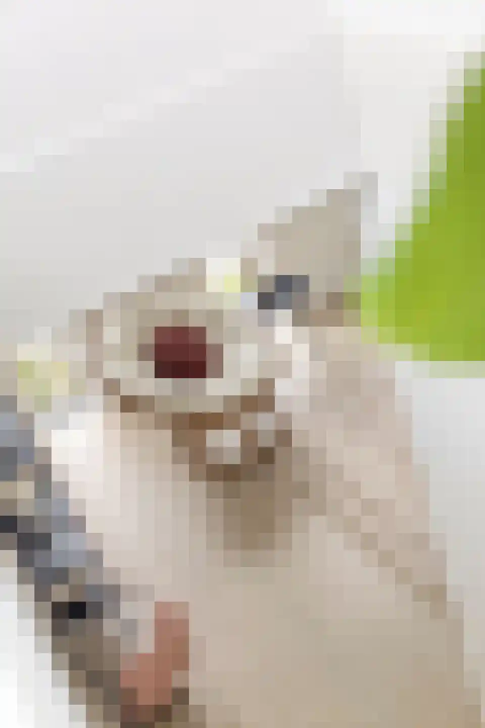 Kievitsweg 2 G Grijpskerk thumbnail 26