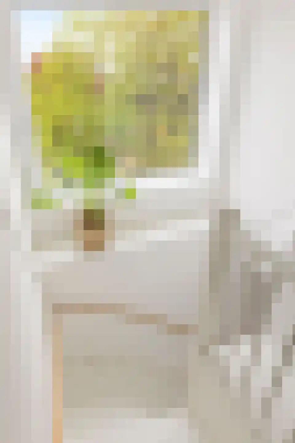 Kievitsweg 2 G Grijpskerk thumbnail 27