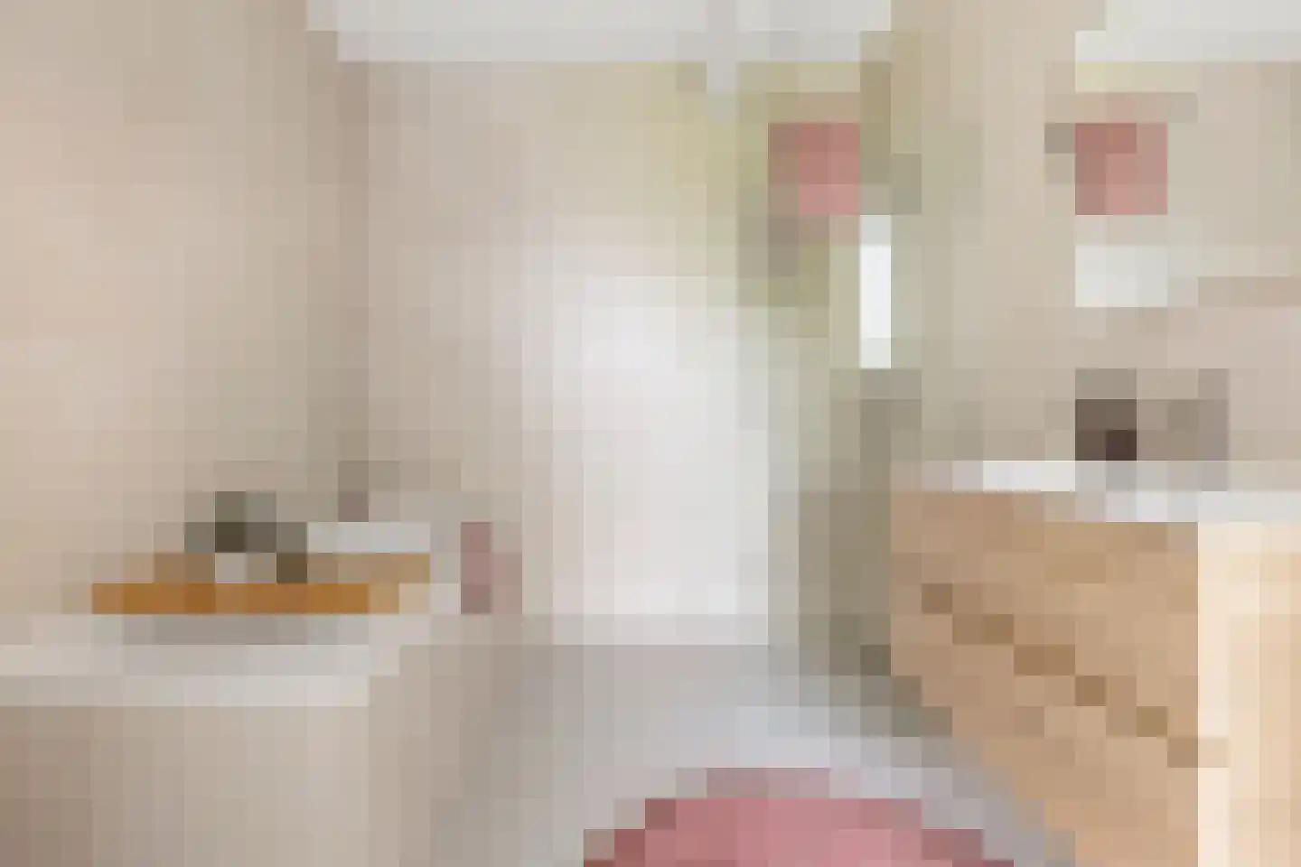 Kievitsweg 2 G Grijpskerk thumbnail 34