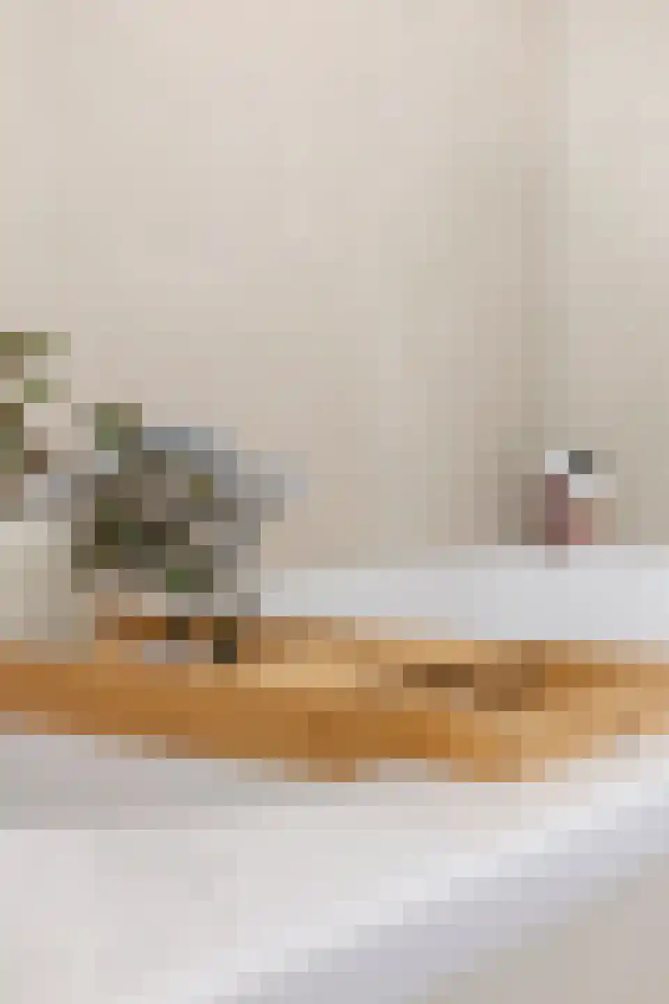 Kievitsweg 2 G Grijpskerk thumbnail 37