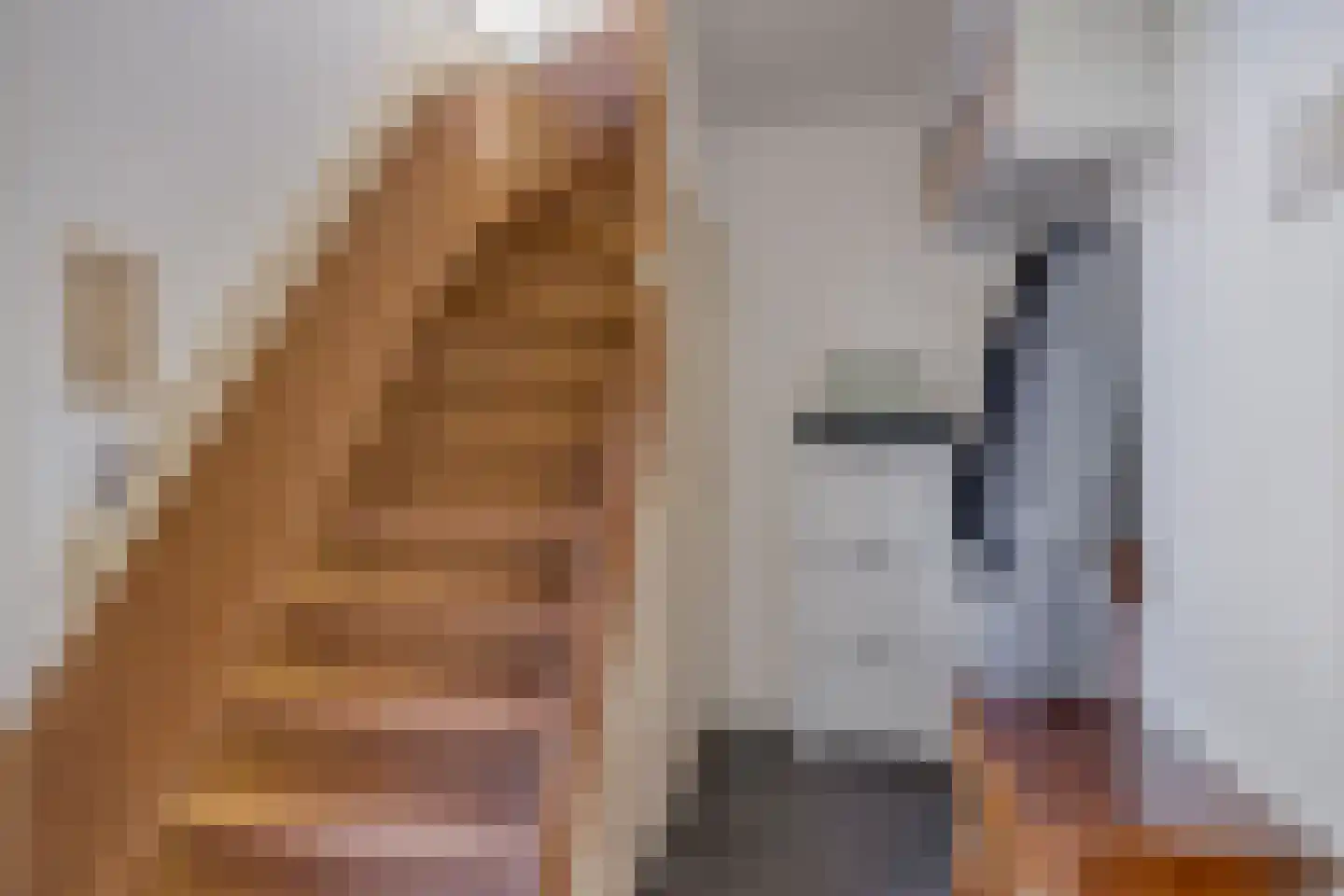 Kievitsweg 22 A Apeldoorn thumbnail 10