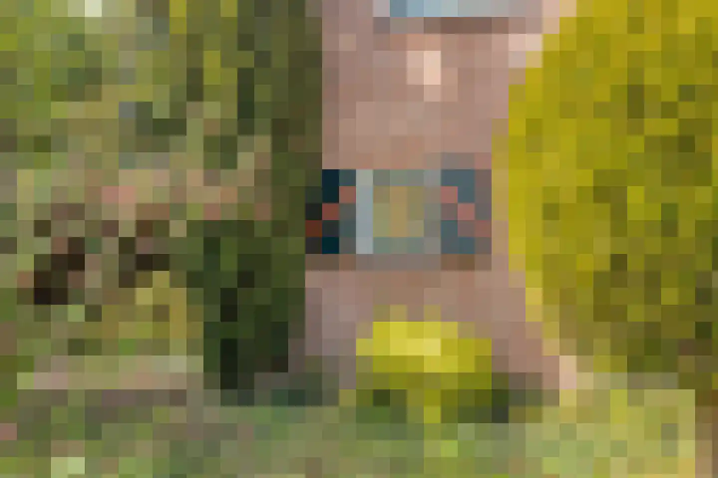 Kievitsweg 22 A Apeldoorn thumbnail 24