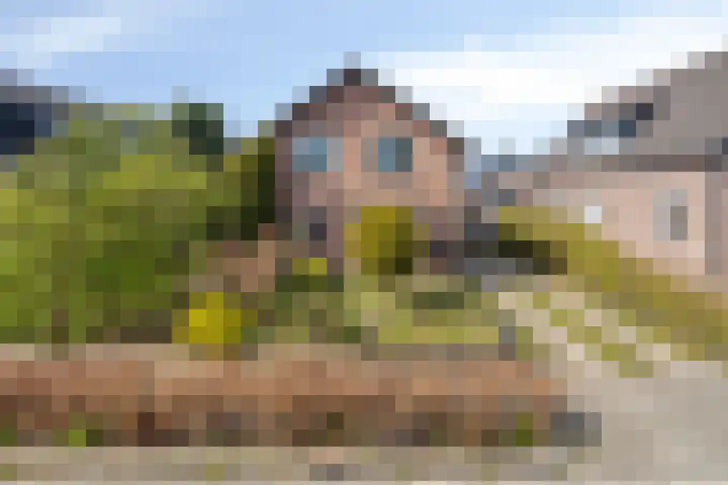 Kievitsweg 22 A Apeldoorn thumbnail 27
