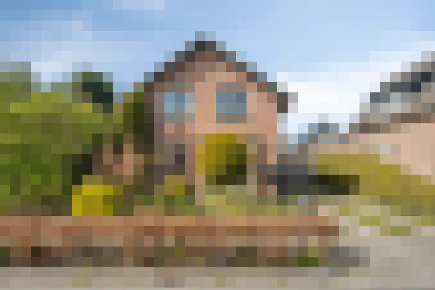 Kievitsweg 22 A Apeldoorn thumbnail 28