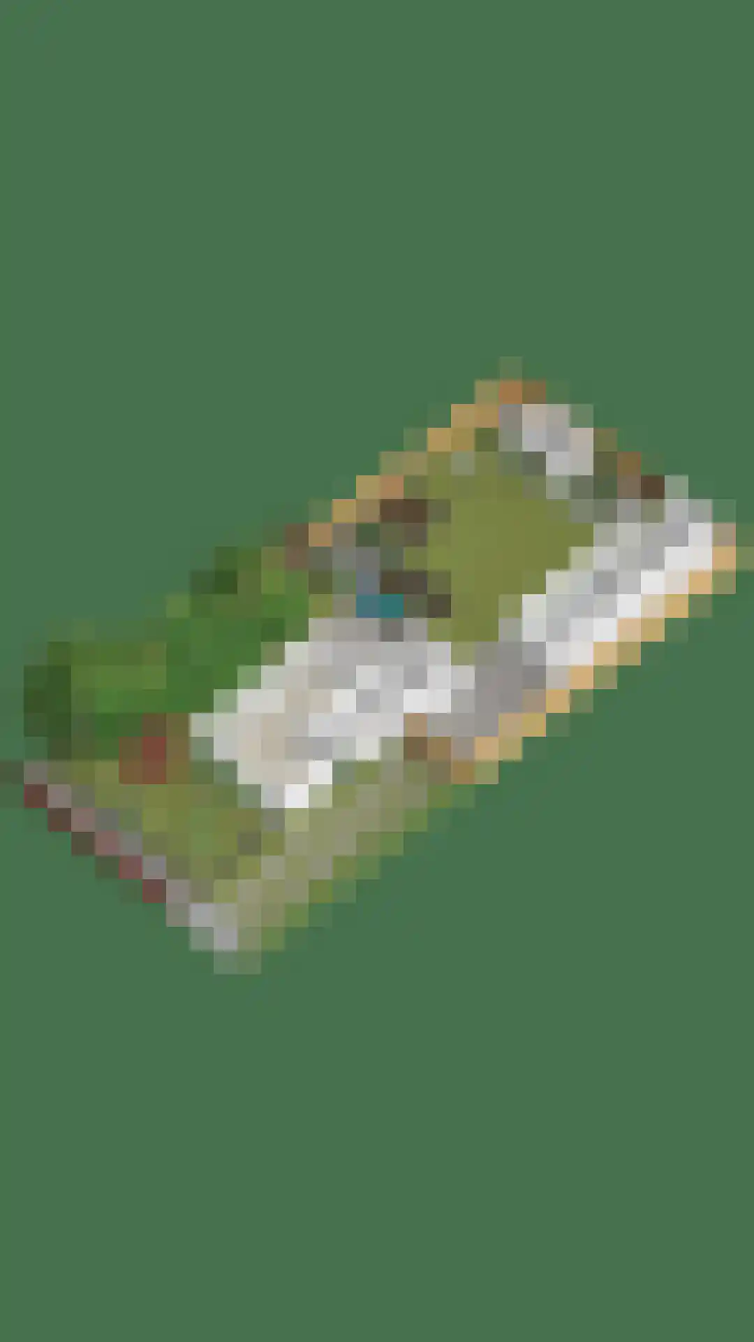 Kievitsweg 22 A Apeldoorn thumbnail 38
