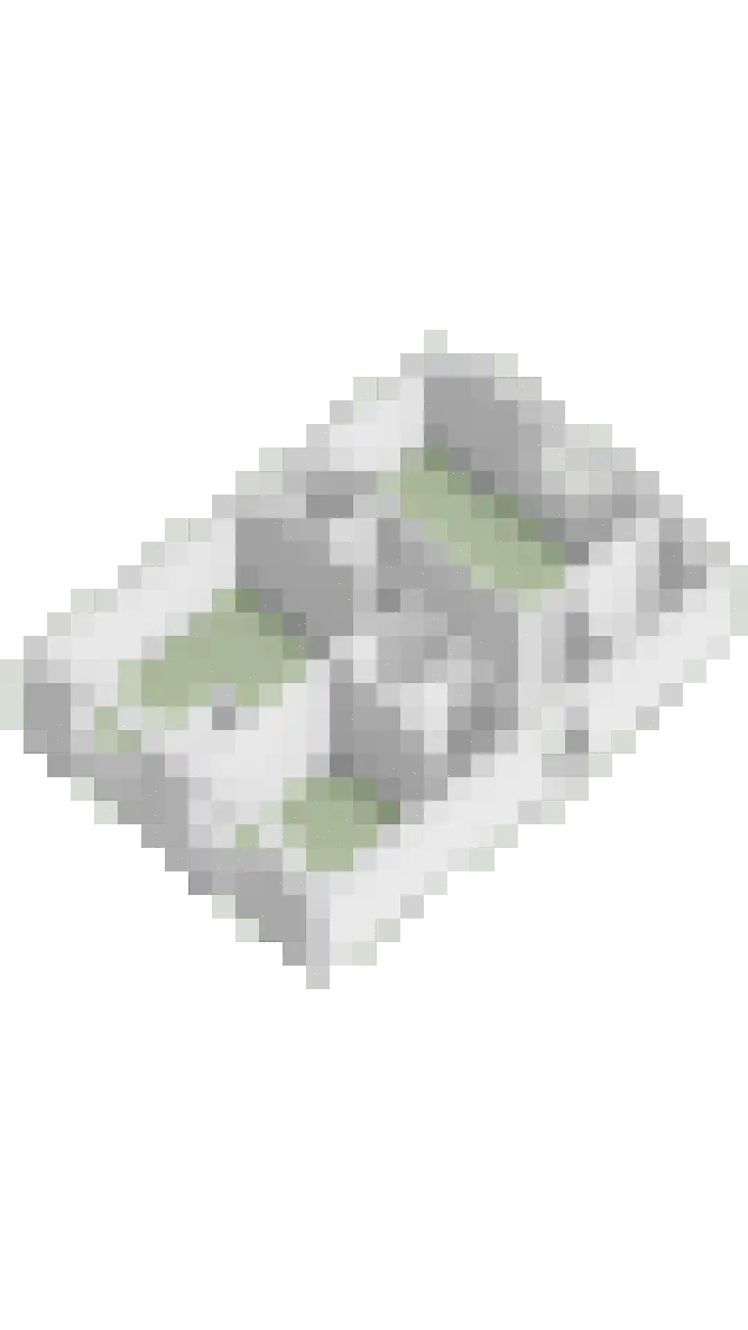 Kievitsweg 22 A Apeldoorn thumbnail 39