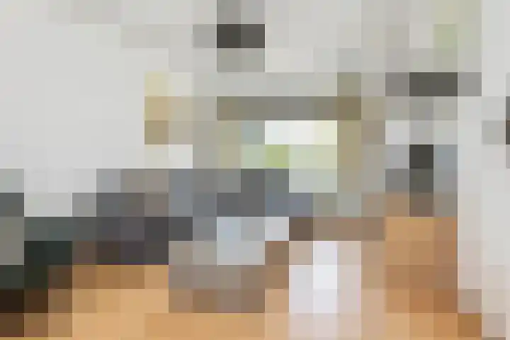 Kievitsweg 23 Wapenveld thumbnail 10