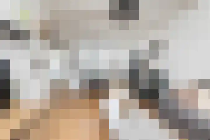 Kievitsweg 23 Wapenveld thumbnail 12