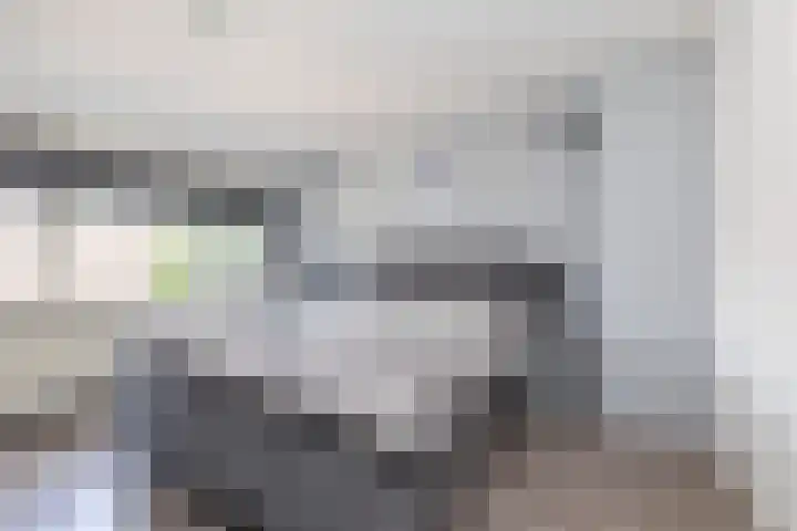 Kievitsweg 23 Wapenveld thumbnail 17