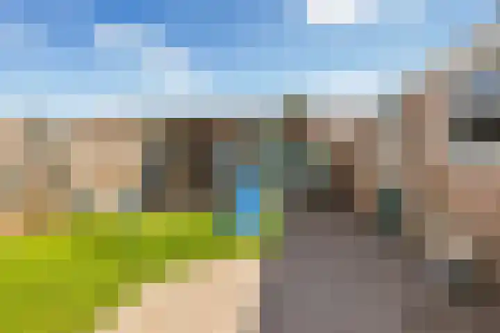 Kievitsweg 23 Wapenveld thumbnail 21