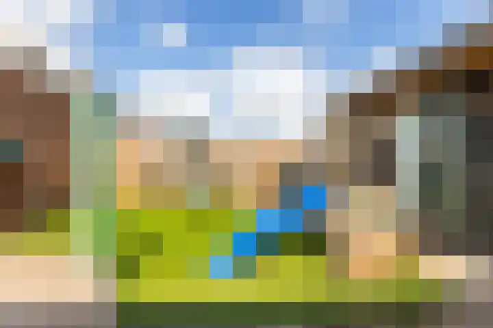 Kievitsweg 23 Wapenveld thumbnail 22