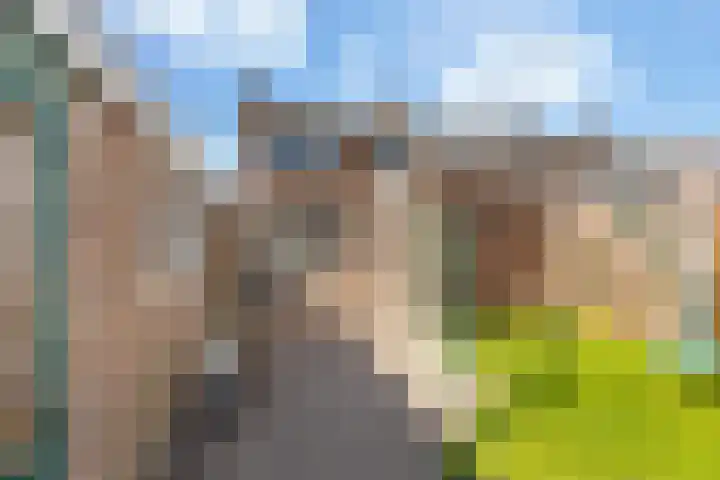 Kievitsweg 23 Wapenveld thumbnail 23
