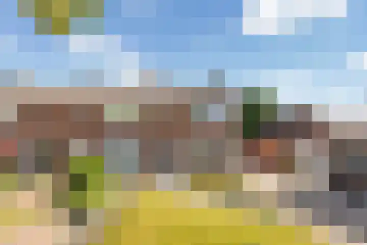 Kievitsweg 23 Wapenveld thumbnail 26