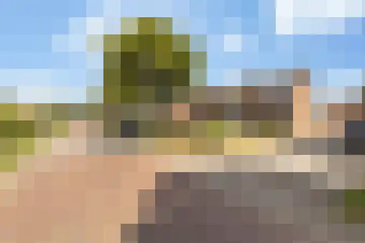 Kievitsweg 23 Wapenveld thumbnail 5