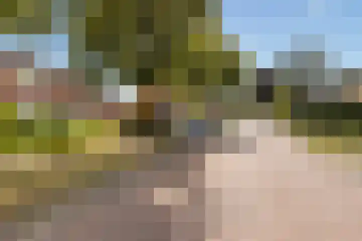 Kievitsweg 23 Wapenveld thumbnail 6