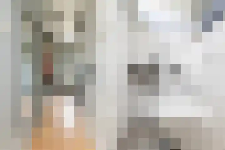 Kievitsweg 23 Wapenveld thumbnail 7