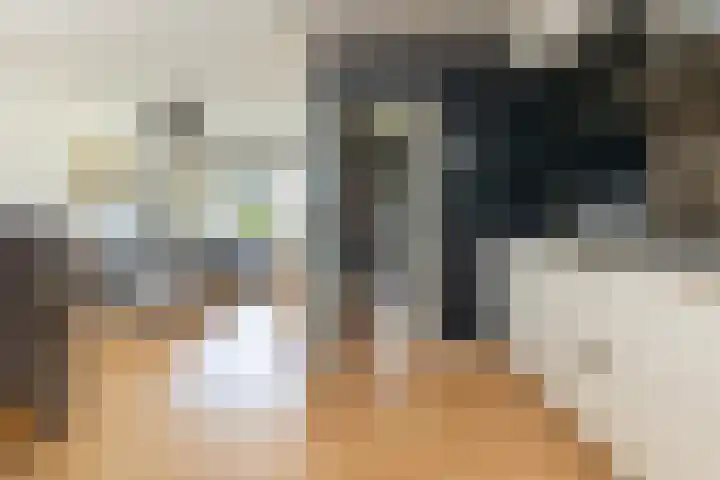 Kievitsweg 23 Wapenveld thumbnail 8