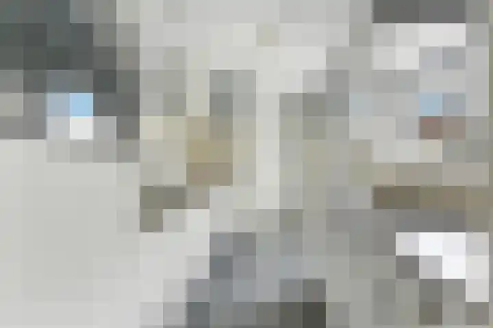 Kievitsweg 35 Ridderkerk thumbnail 11