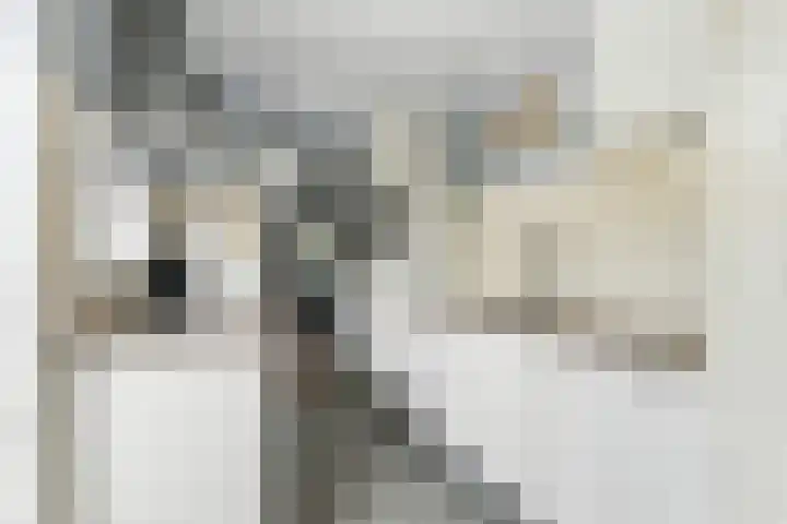 Kievitsweg 35 Ridderkerk thumbnail 12