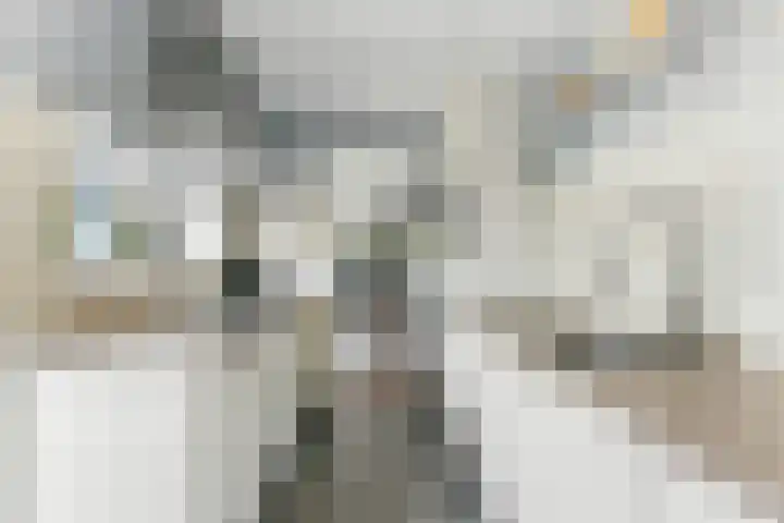 Kievitsweg 35 Ridderkerk thumbnail 13