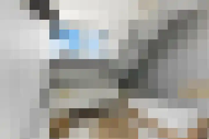 Kievitsweg 35 Ridderkerk thumbnail 22